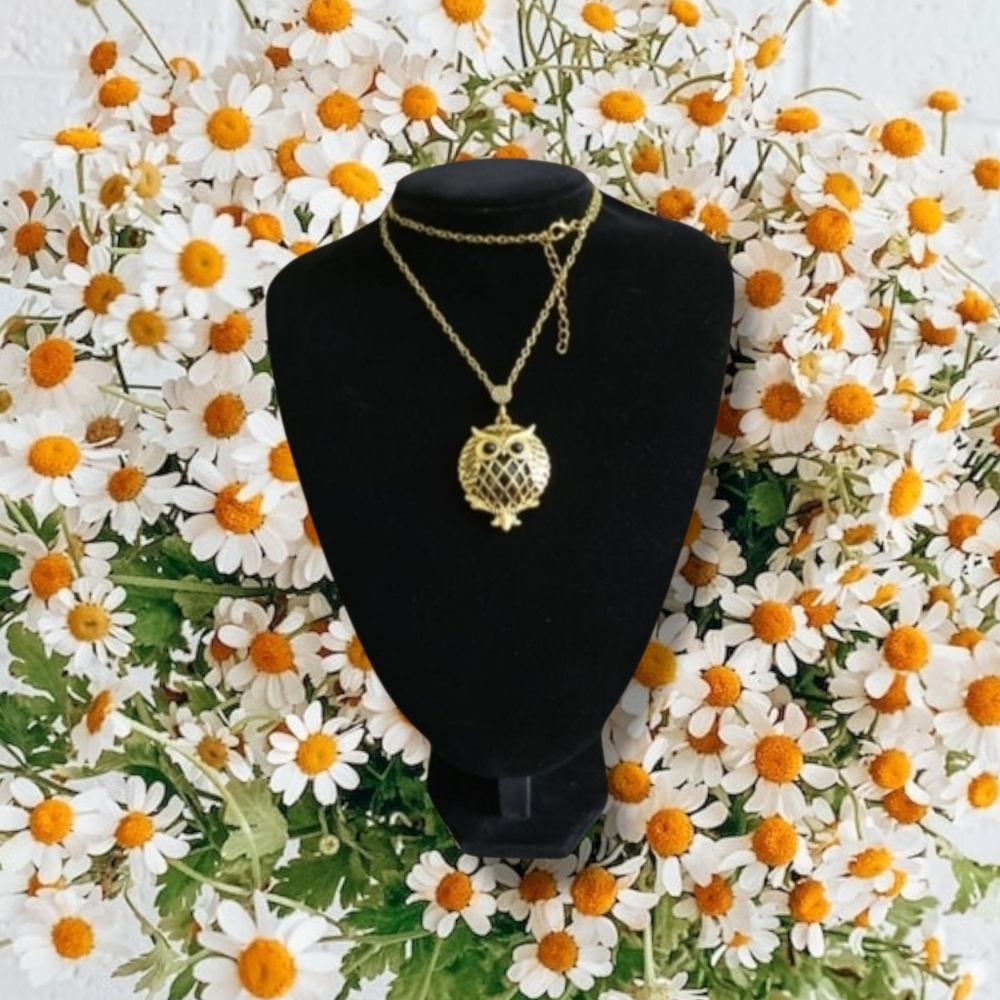 Chadwicks | Antiqued Gold Tone Owl Magnifier Glass Locket Necklace